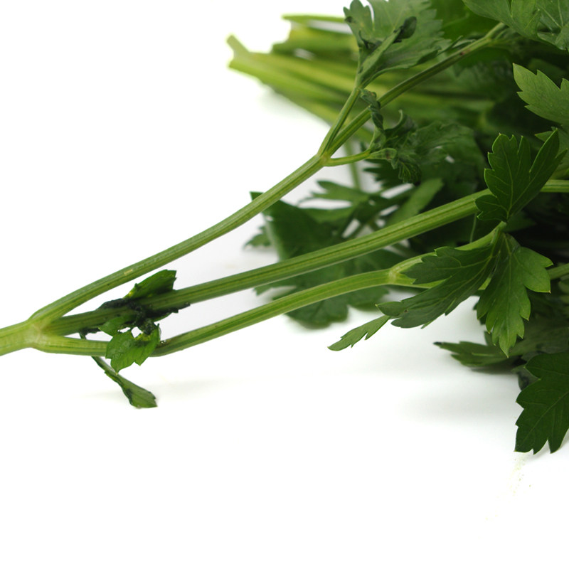 意大利芹/欧芹250g 新鲜蔬菜香料 平叶巴西利 沃鲜汇生鲜超市