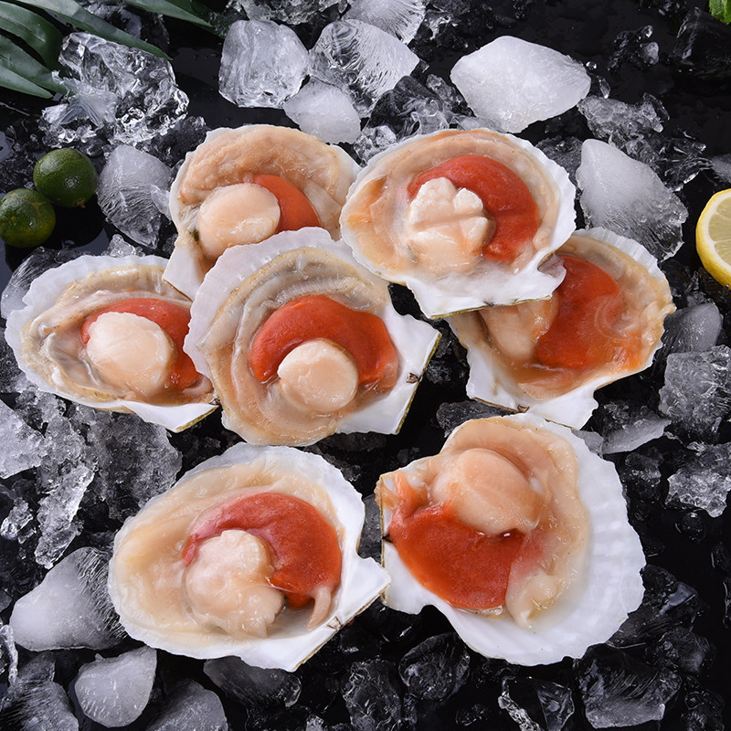 扇贝虾夷1只约65g大半壳贝贝约9-10厘米蒜蓉粉丝扇贝