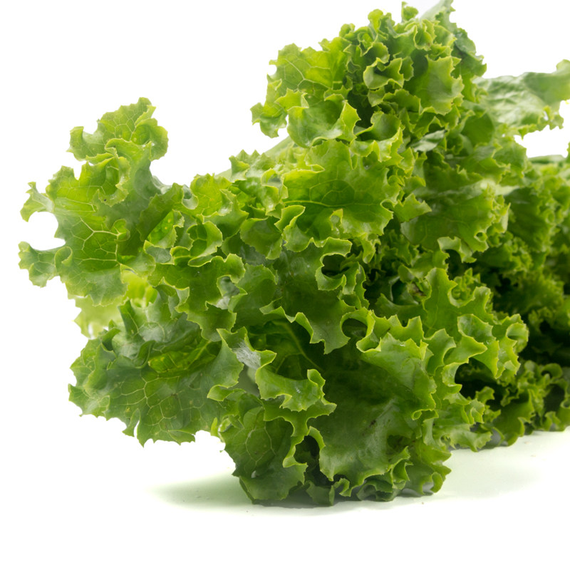 绿罗莎/花叶生菜500g左右 无公害新鲜蔬菜菜市场生鲜超市