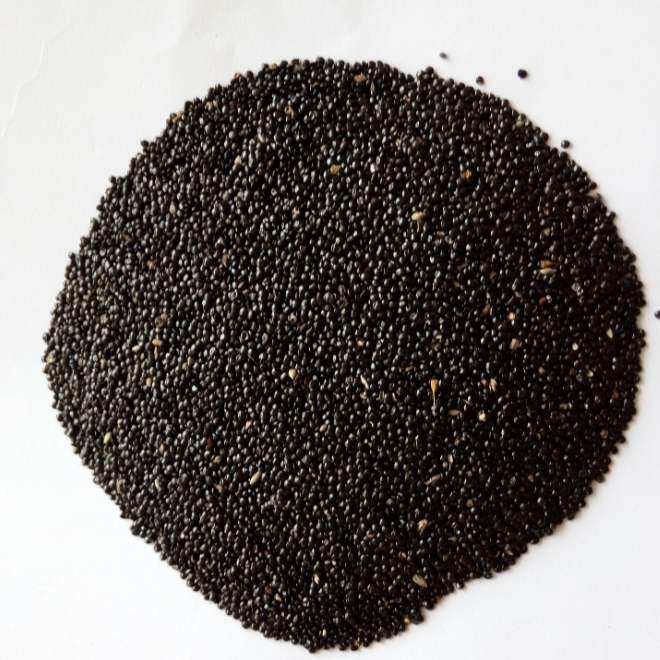 中药材箱子种子填充枕头牛尾花子尾巴500克其他药食同源食品