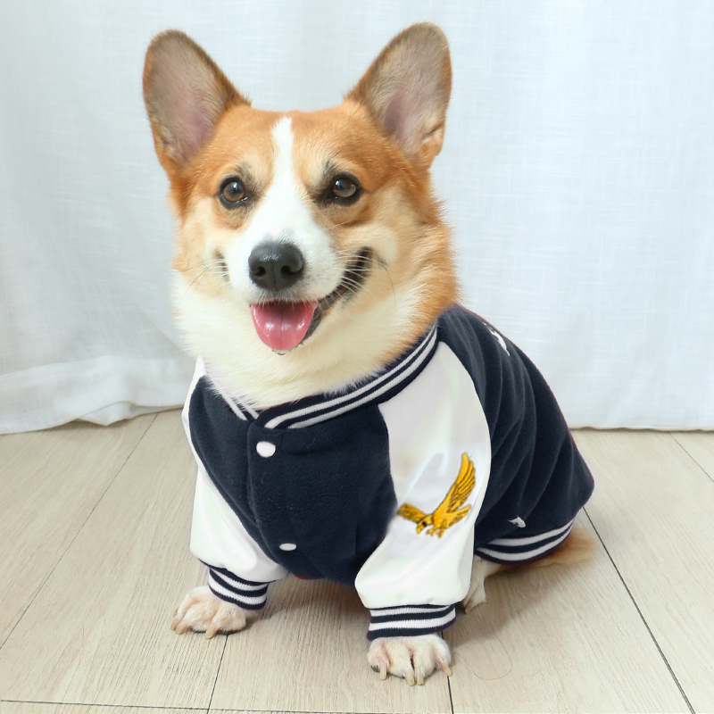 柯基狗狗衣服宠物潮牌棒球秋冬秋装秋季冬装狗宠物服装