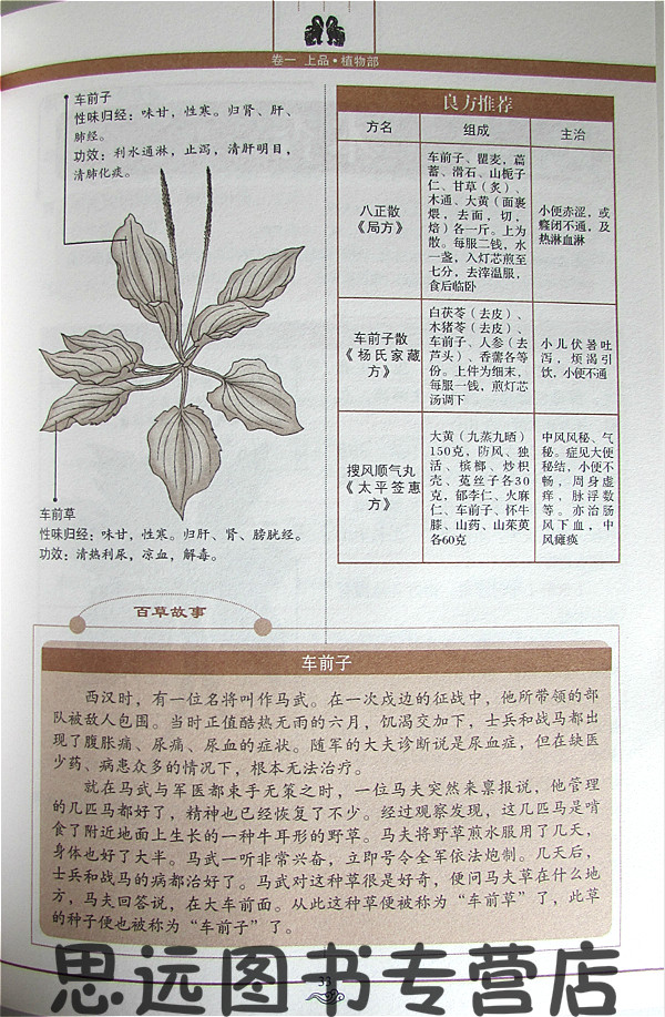 正版 图解神农本草经 美绘图文双色印刷 中草药大全书籍 中药书籍