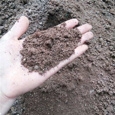 田园土 营养土 菜园土 园土 麦田土 庄稼地里的土 普通土 包邮