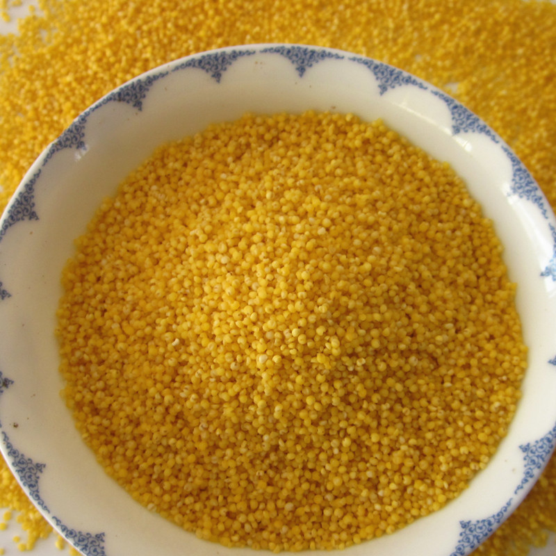 河北蔚县桃花农家黄小米小黄米新米蔚州贡米月子米张家口特产5斤