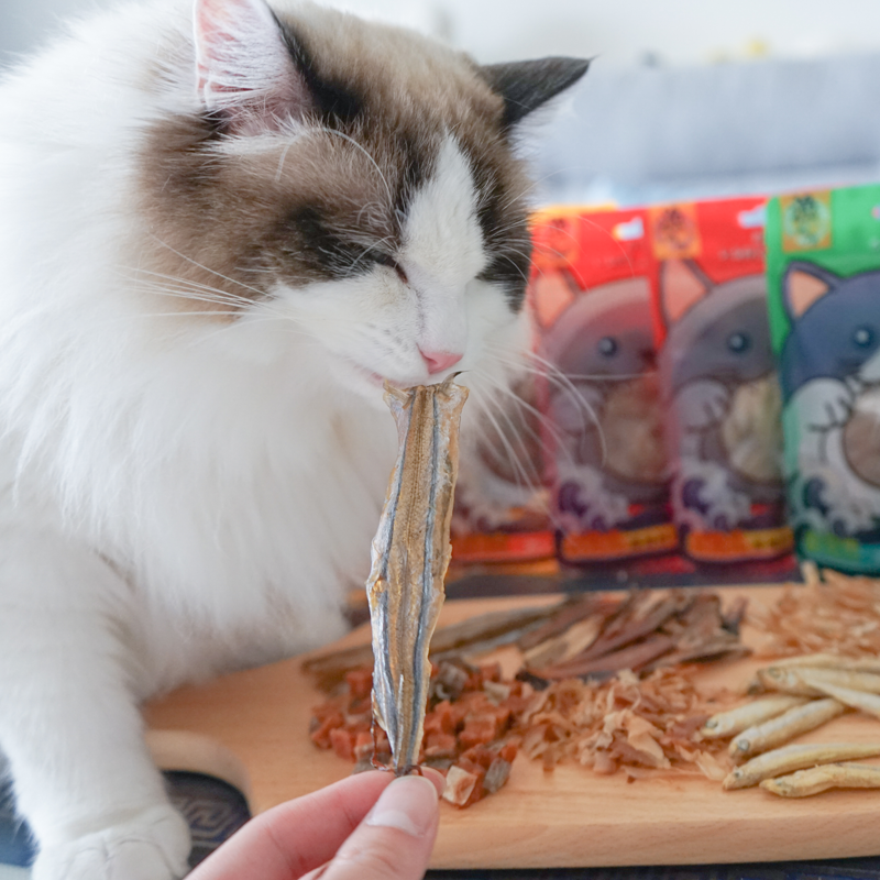 仲夏夜宠舍 渔晓吃猫零食 猫咪薄荷饼干小鱼干肉条奖励零食
