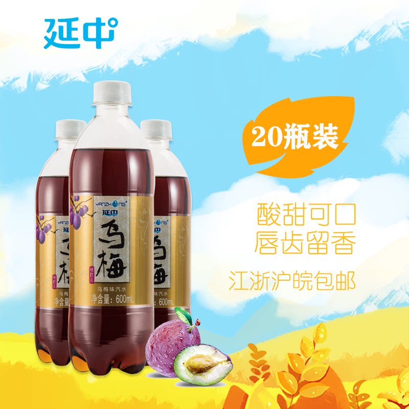 【延中】 乌梅味汽水600ml*20瓶/箱 碳酸饮料果味汽水饮品