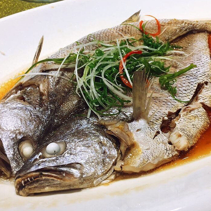 东海野生小米鱼9两-1.1斤一条 新鲜鲜活 宁波舟山海鲜 有营养又好