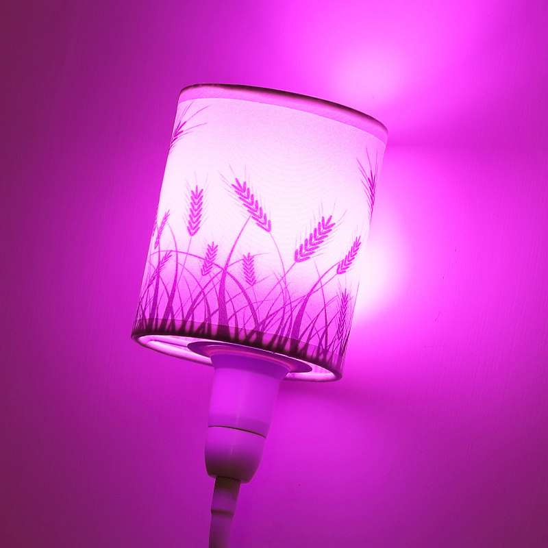 led插座紫色小夜灯灯光卧室网红抖音灯紫色蓝色拍照补光灯氛围灯