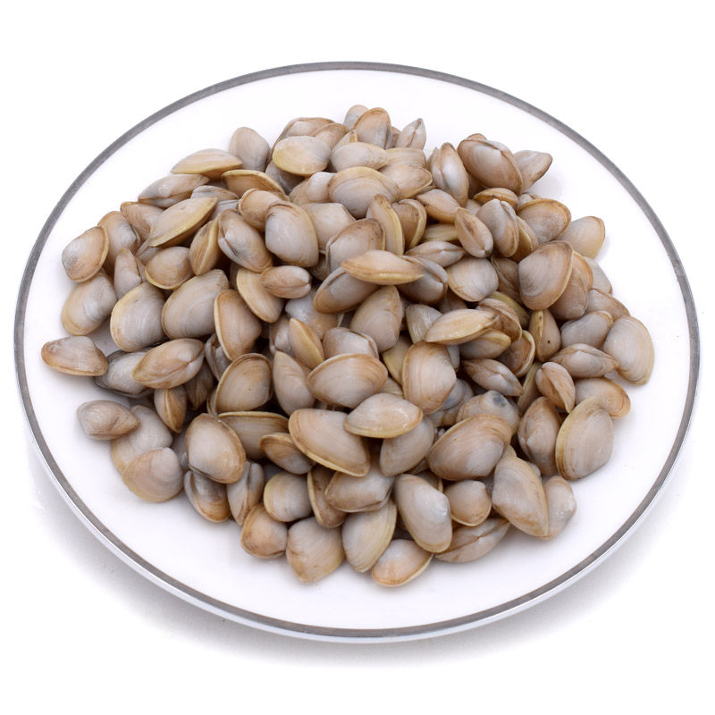 鲜活白瓜子无沙海沙子小蛤蜊海瓜子舟山鲜活海鲜水产贝类新鲜瓜子