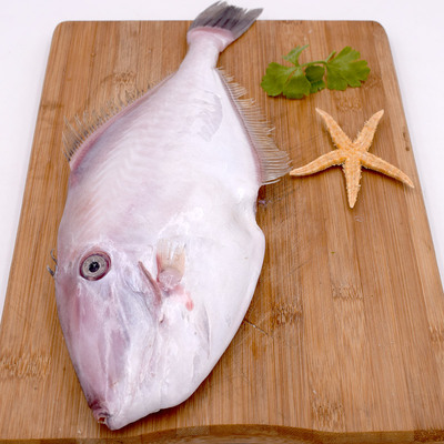 山大耗儿500g剥皮橡皮鱼马面鱼冷冻海鲜水产火锅食材淡水鱼类 原价49