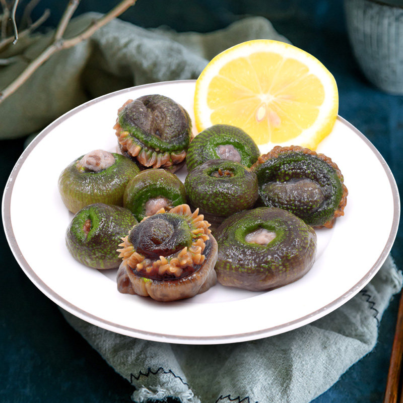 鲜外蒜小水产海海鲜舟山肠子岩蒜海海葵鲜活鲜绿裙带菜