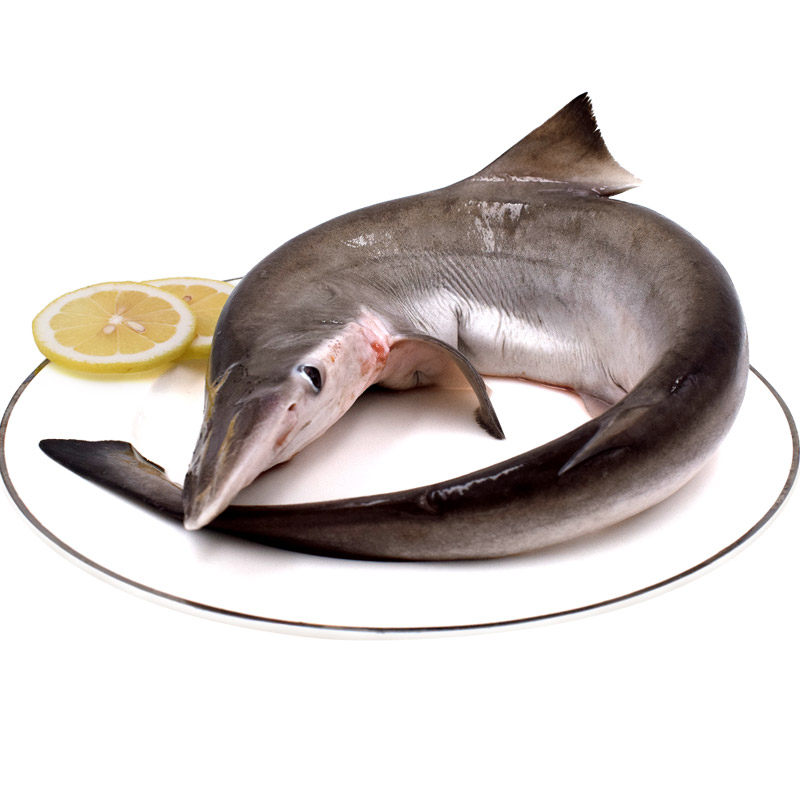 鲨鱼舟山新鲜5-6斤东海顺捕非白冷冻海鲜水产其它