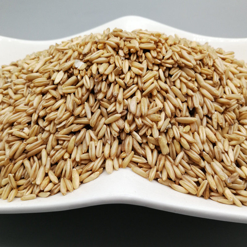 燕麦麦米5斤新货农家去壳野麦雀麦胚芽麦子其它粮食