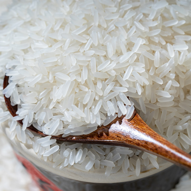 广西象州大米5kg长粒香丝苗米油粘米10斤真空大米