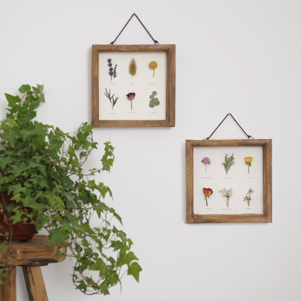 手作植物标本装饰画花卉摆件挂画背景墙干花相框标本类装饰画