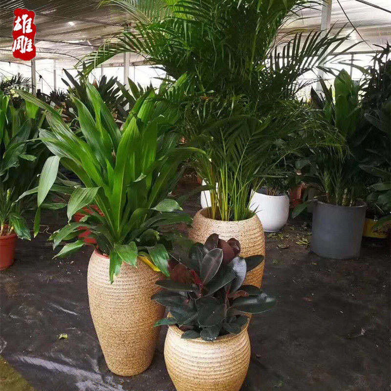 大型落地花盆室外庭院特大号陶瓷种树高筒客厅花盆