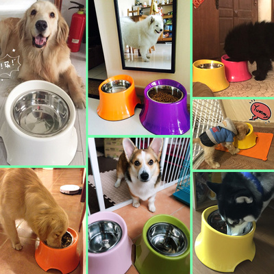 休普宠物狗盘狗盆大号大型犬狗粮盆打翻狗狗饭盆狗食碗