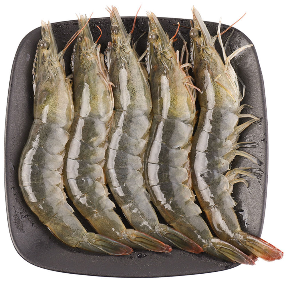 鲜活基围青岛大虾超大海虾新鲜海鲜水产鲜虾冻虾