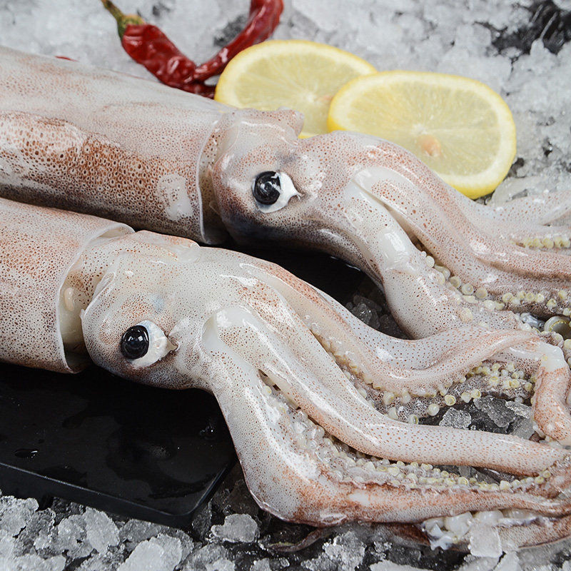 鱿鱼500g新鲜冰鲜海鲜水产烧烤食材生鲜冷冻冷冻鱿鱼