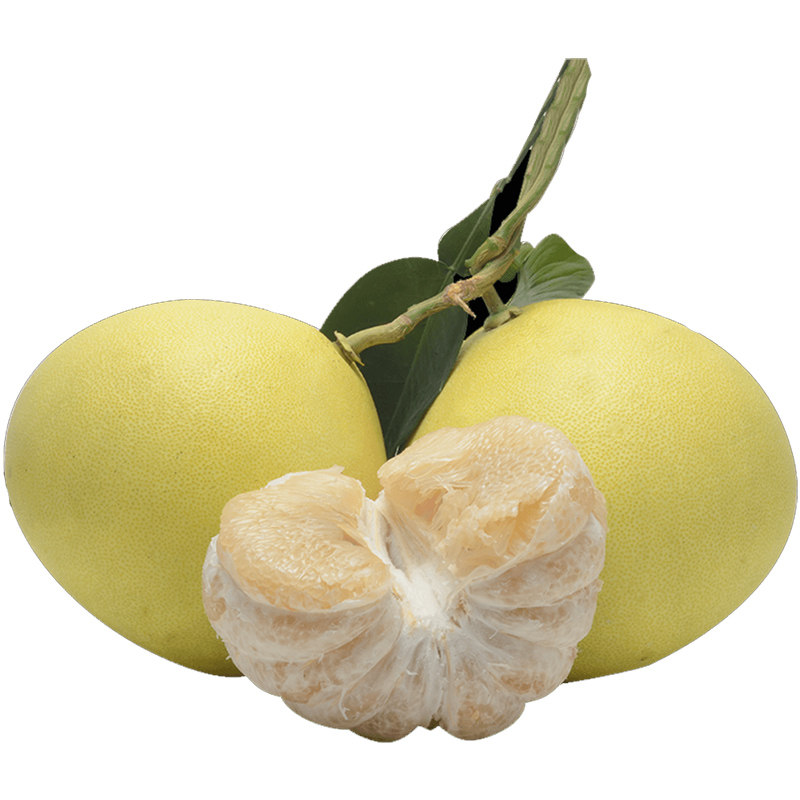 文旦皇每日限量5件玉环文旦柚子20斤稀缺大果当季新鲜水果