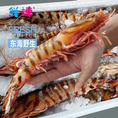 鲜谏野生鲜活舟山竹节大海1斤3-4只高端食材冻虾 原价368元 现价368元