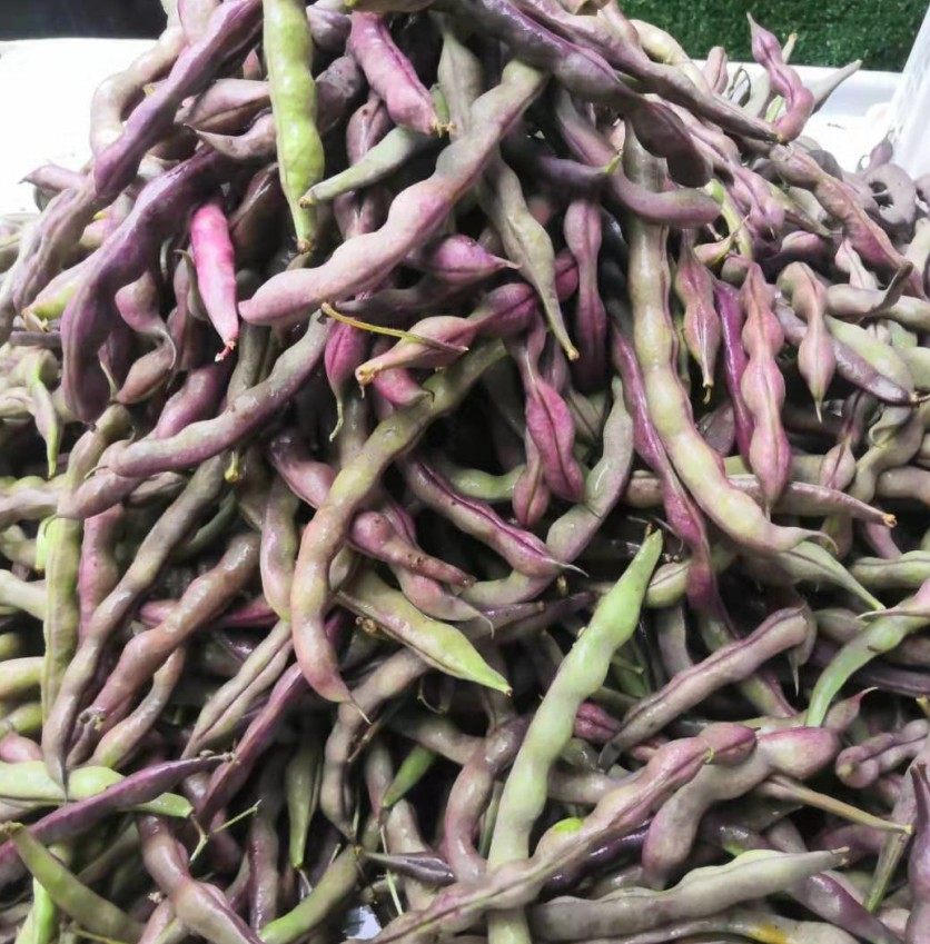 湖北特产农家肥自种新鲜蔬菜大紫芸豆冻死死鬼其它