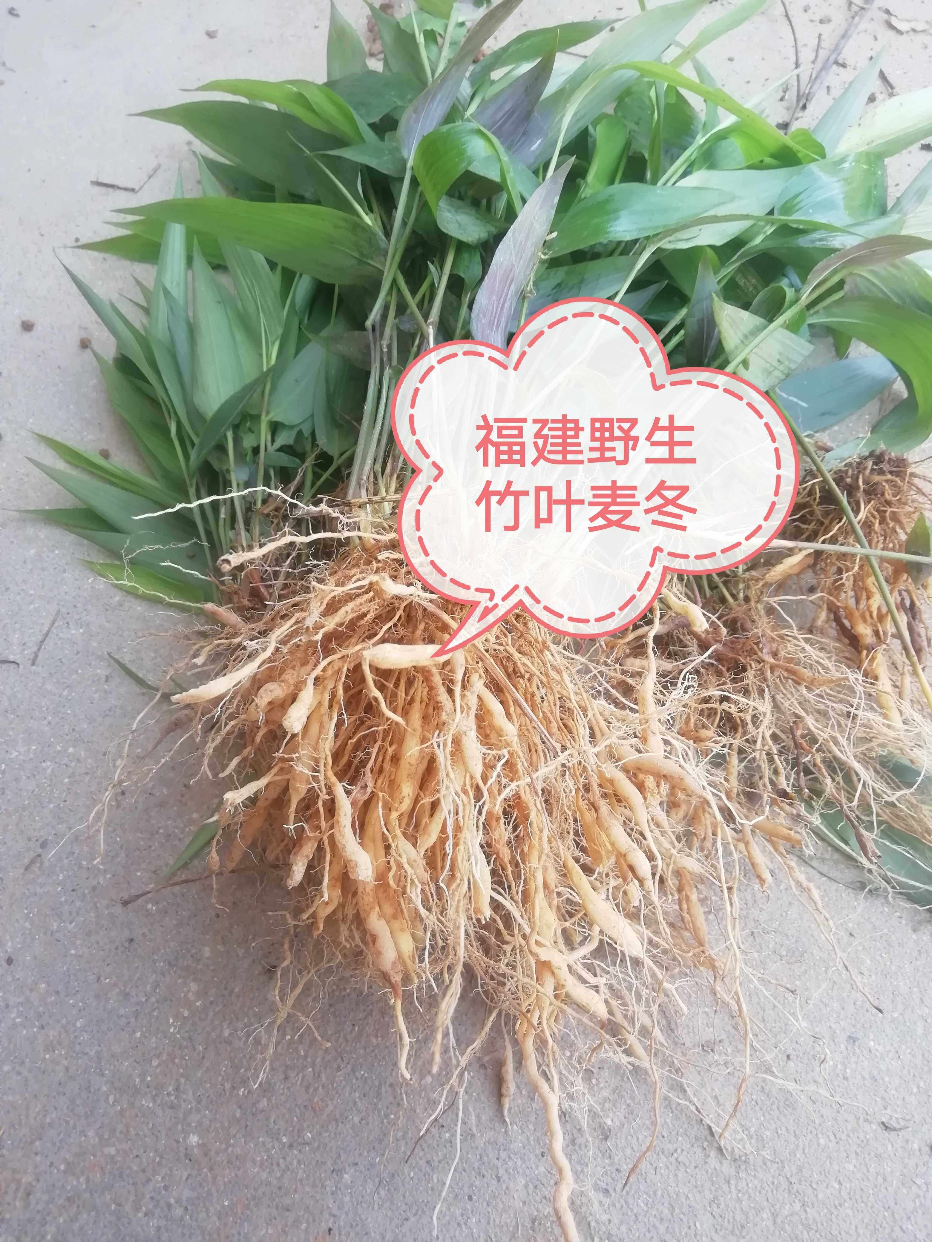 竹叶野生麦冬现采骨子山鸡500g包邮叶菜类