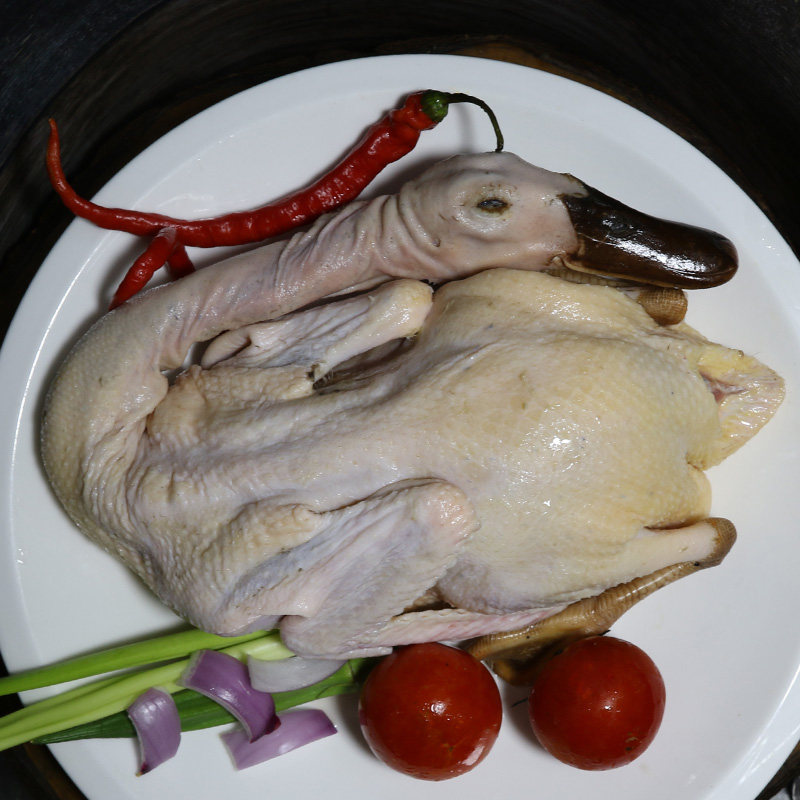 神奇高邮湖麻鸭正宗散养土鸭5斤左右新鲜活体鸭肉