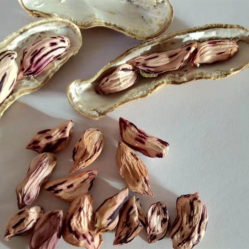 花生云南特产新货瘪籽花生米养胃零食花生