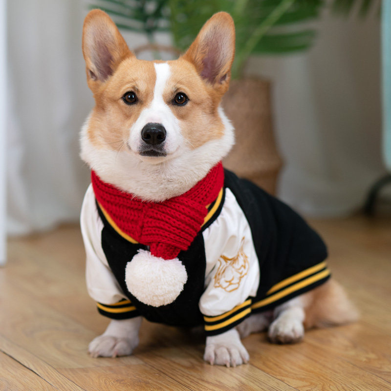 狗狗衣服秋冬冬装潮牌柯基冬季宠物柴犬小狗狗宠物服装