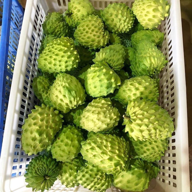 释迦台湾牛奶新鲜水果荔枝佛头果带箱5斤海南番荔枝