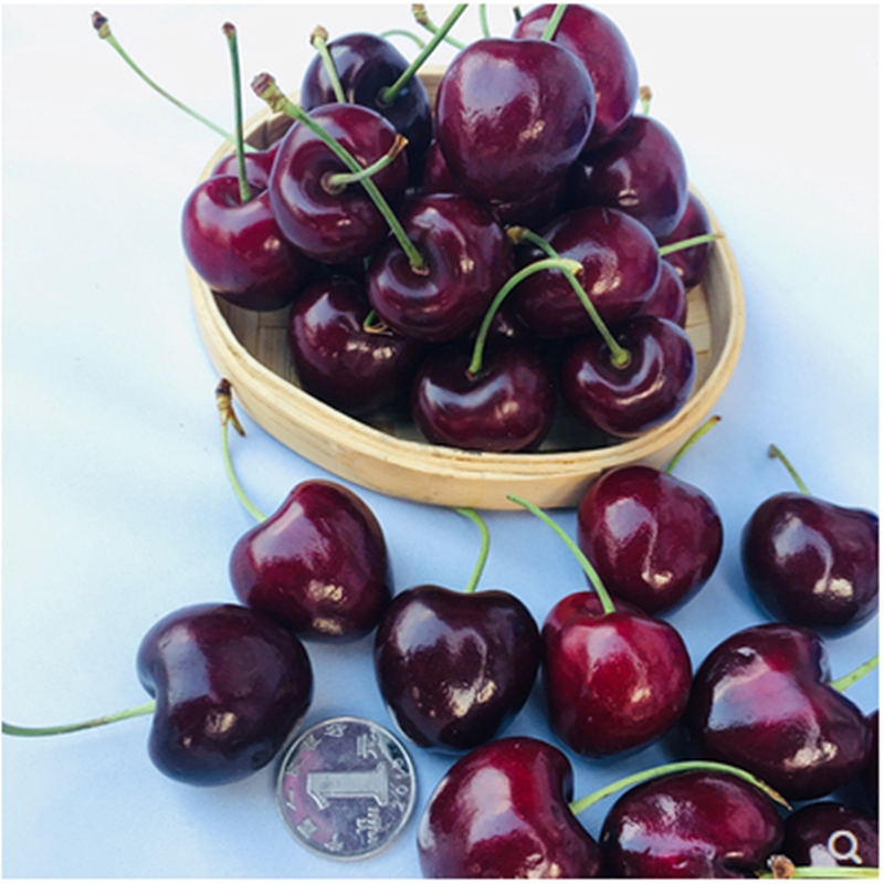 智利包邮整箱顺丰樱桃3j5斤水果进口新鲜车厘子
