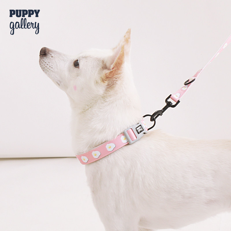 puppygallery狗狗项圈中大型金毛柯基泰迪宠物颈圈项圈