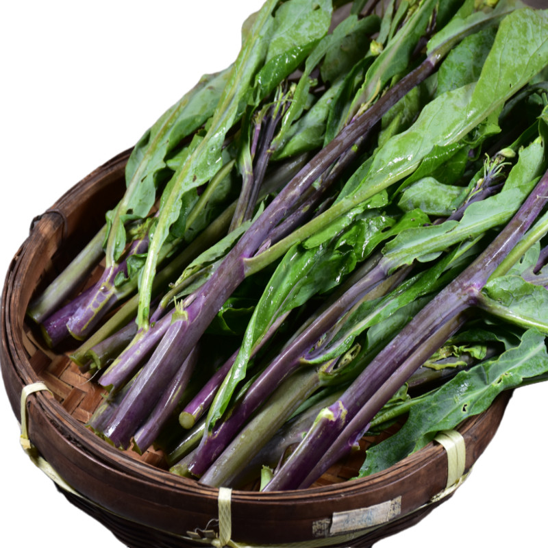 潮汕农家芥兰炒饭梗芥紫红蔬菜特产棉湖新鲜红叶菜类