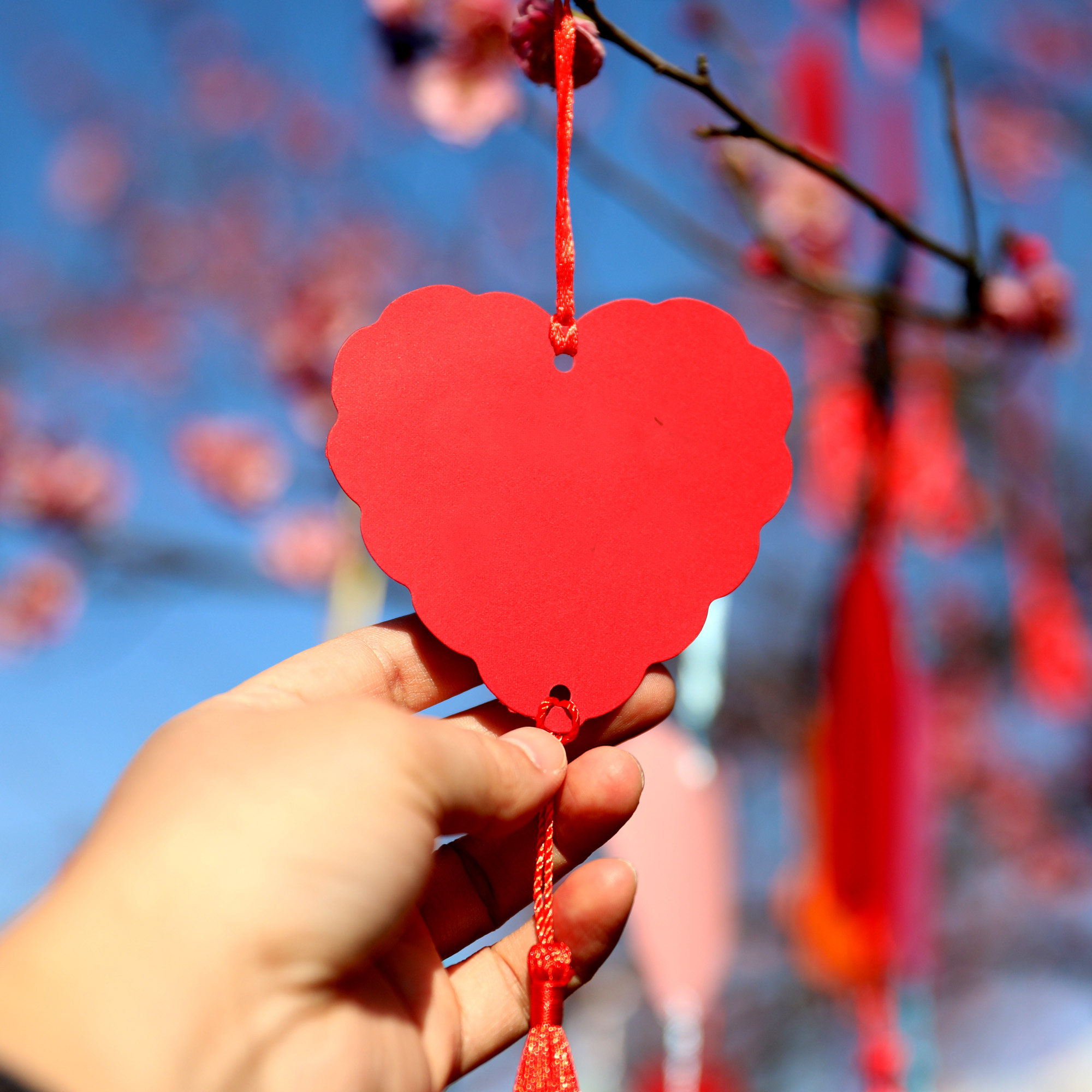 许愿心愿许愿树吊卡红色爱心卡片纸手写彩色空白贺卡