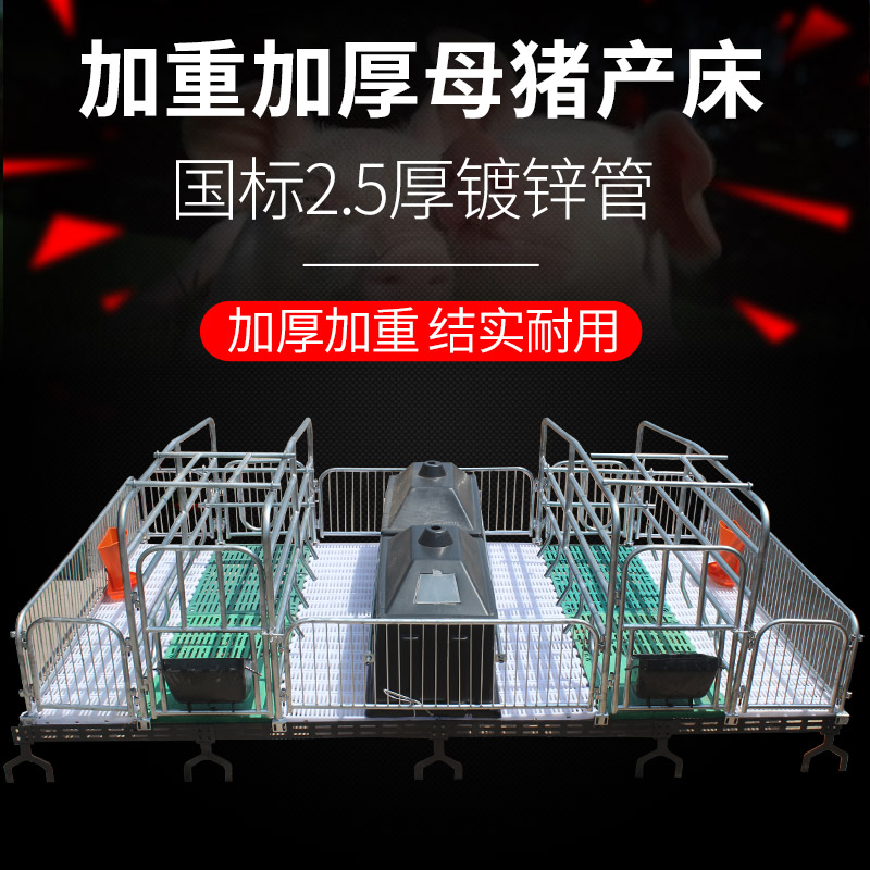 养猪设备母猪产床单体双体猪用的产床保育两用一体产床母猪分娩床