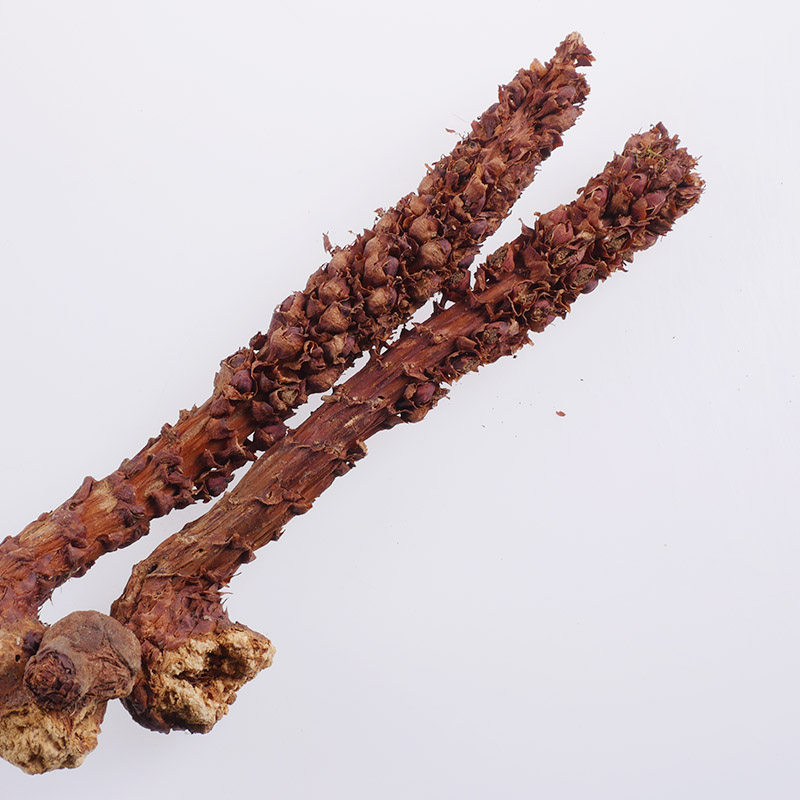 不老中药材250g别名独根草山苞米野生不老草