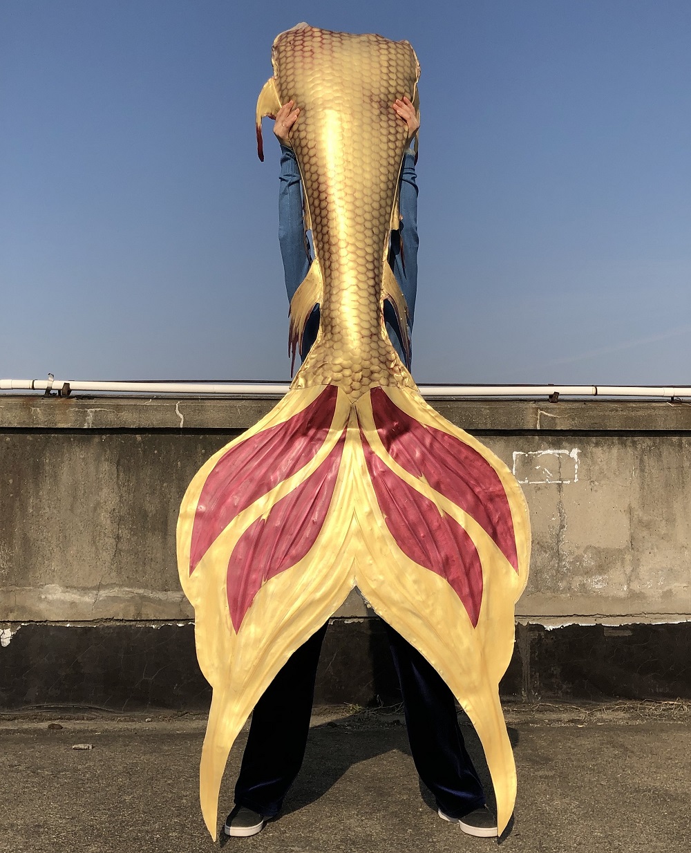 专业硅胶美人鱼尾巴成人影视级别高端定制分体泳衣