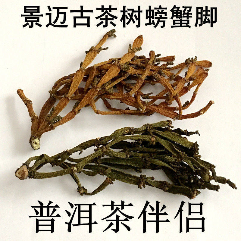 普洱生螃蟹脚景迈古古树寄生茶茸普洱山珍普洱