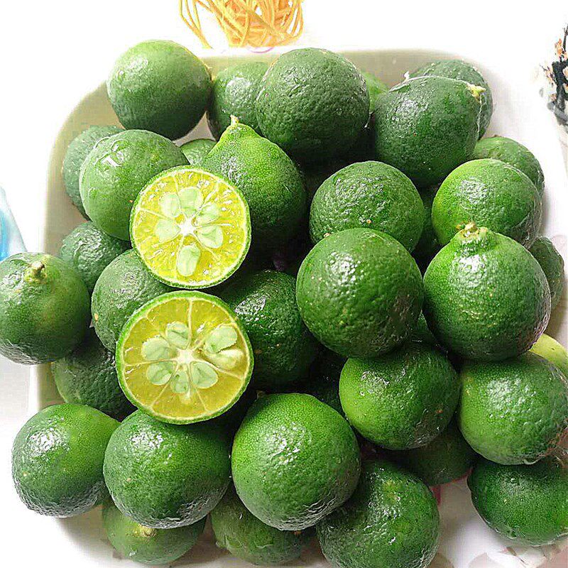金桔新鲜海南青金2斤包邮奶茶店榨汁调味绿小桔子
