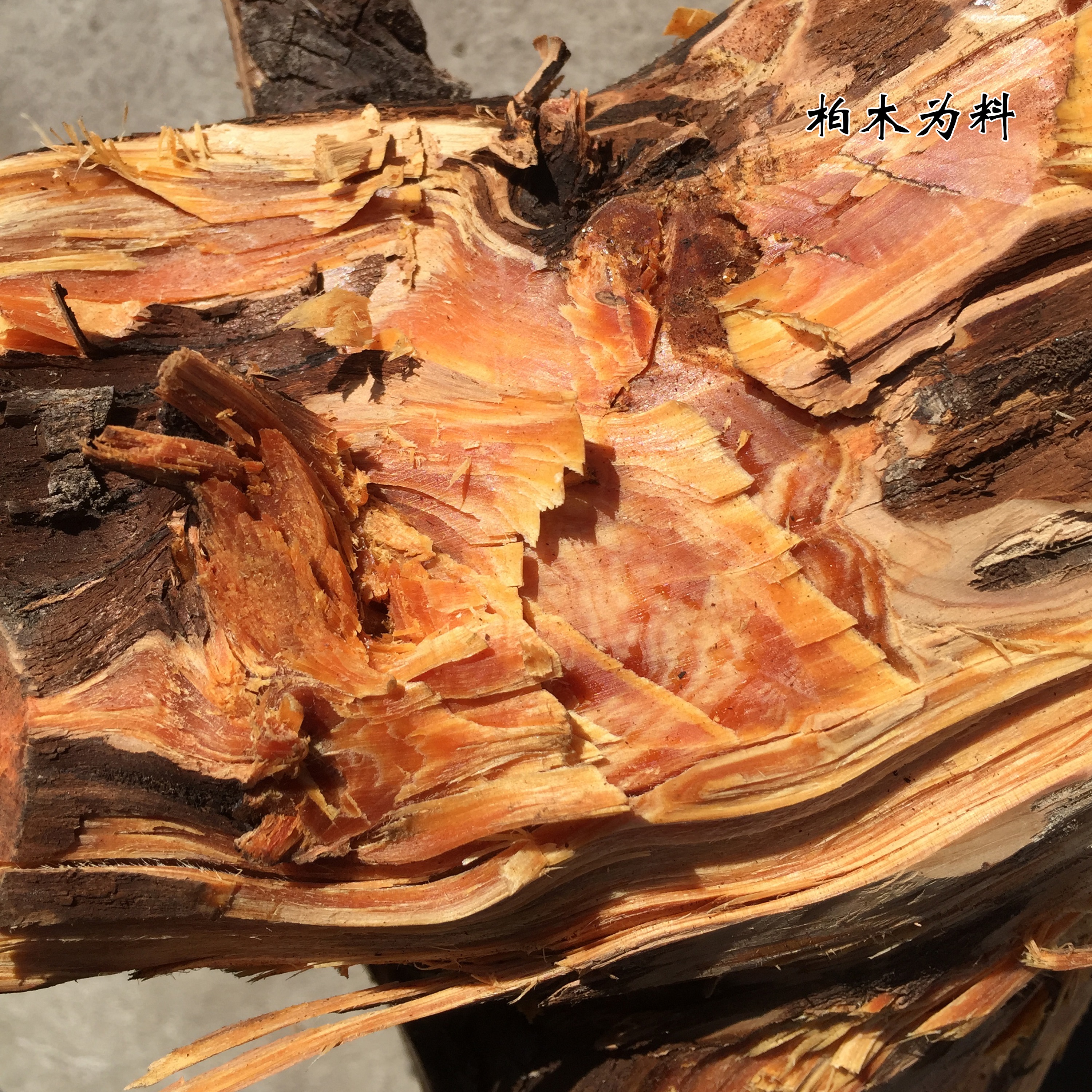 佛香木香香礼供佛天然柏木家用室内观音财神香薰香料