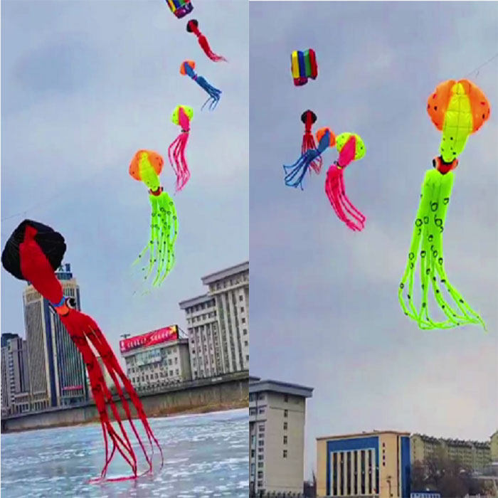 挂件风筝新款正品单口10米鱿鱼不可以单独放飞风筝