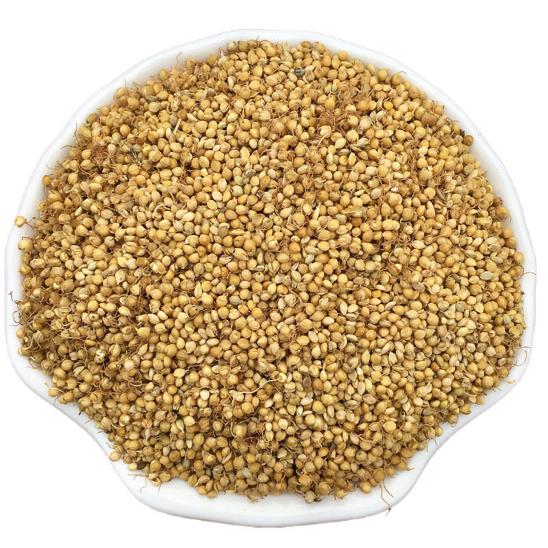 中药材谷芽500克生谷双芽水另麦芽山楂店铺药材其他药食同源食品