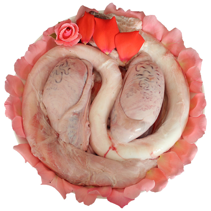 新鲜现杀牛鞭牛蛋牛宝牛睾丸子冷冻鲜现杀牛牛杂类