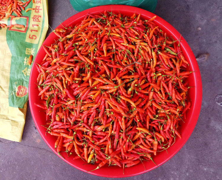 广东粤北韶关南雄特产霸王辣椒酱指天朝天变态辣椒酱