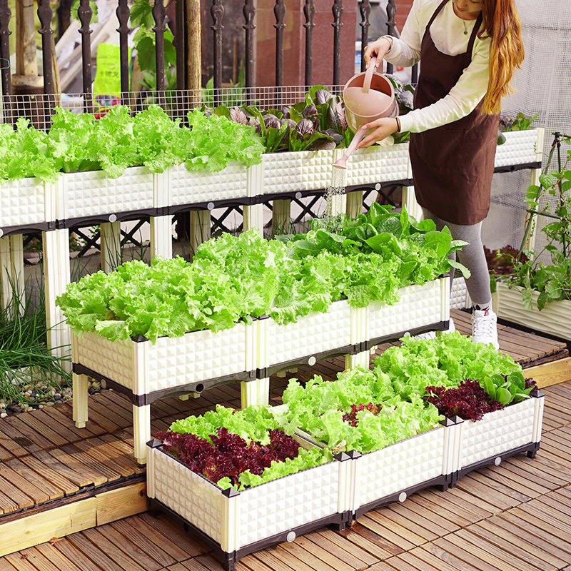 家庭阳台种植加深加高露台蔬菜创意种菜菜盆花盆