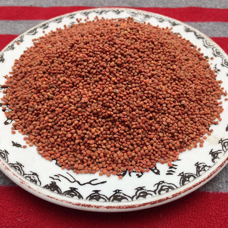 楮实子中药材 精选褚实子 楮实米 野生楮实子 褚实子无硫500g包邮