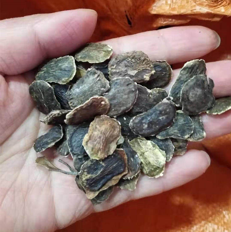 黄花梨种子_正宗海南黄花梨树苗种子_降香黄檀木黄花梨木种子包邮