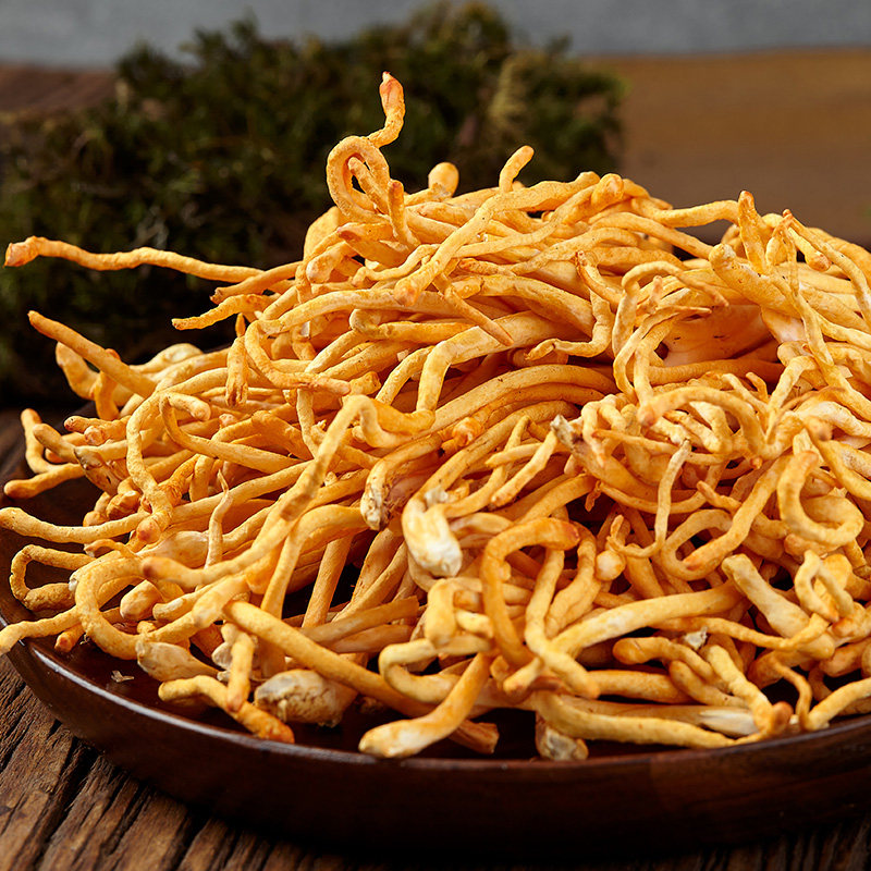 虫草新鲜云南菌菇营养蘑菇美味食用菌煲汤食材新鲜松茸