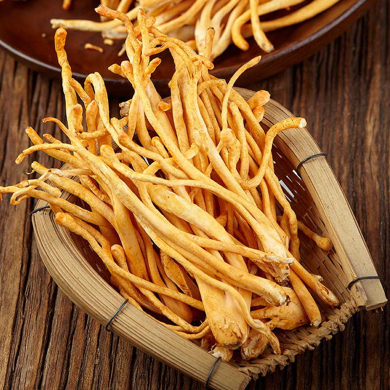 虫草新鲜云南菌菇营养蘑菇美味食用菌煲汤食材新鲜松茸